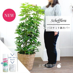 y}\N[|LIzyX^[^[ZbgtzyVFtzzRJ|bN@O[@8yoXPbgJo[/uEzyϗtA/CeA//i`/A/