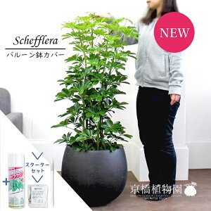 y30P5{IzyX^[^[ZbgtzyVFtzzRJ|bN@O[@8yo[Jo[/AeB[NuEzyϗtA/CeA//i`/A/