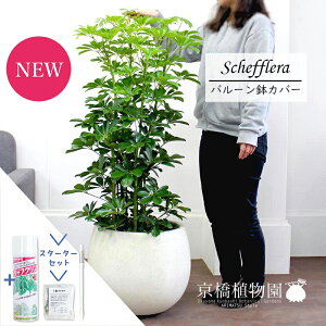 yX^[^[ZbgtzyVFtzzRJ|bN@O[@8yo[Jo[/AeB[NzCgzyϗtA/CeA//i`/A/蕨/yV/ʔ/