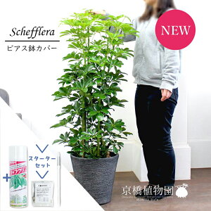 yX^[^[ZbgtzyVFtzzRJ|bN@O[@8yrAXJo[/ubNzyϗtA/CeA//i`/A/蕨/yV/ʔ/~hTCY/