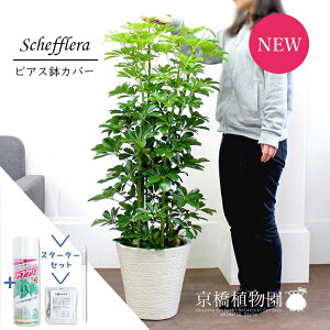 y1P7{IzyX^[^[ZbgtzyVFtzzRJ|bN@O[@8yrAXJo[/zCgzyϗtA/CeA//i`/A/蕨/yV/ʔ/