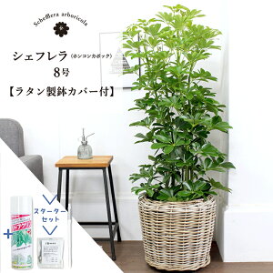 ySSN[|zySSizyX^[^[Zbgtzy^Jo[tzyVFtzzRJ|bN@O[@8yϗtA/CeA//i`/A/