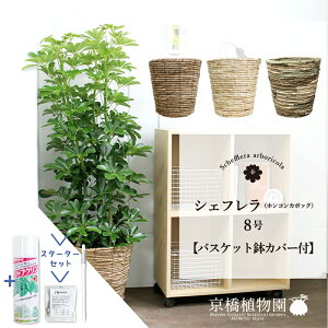 yX^[^[ZbgtzyIׂoXPbgJo[tzyVFtzzRJ|bN@O[@8yϗtA/CeA//i`/A/蕨/yV/ʔ/~hT