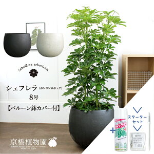 y30P5{IzyX^[^[ZbgtzyIׂo[Jo[tzyVFtzzRJ|bN@O[@8yϗtA/CeA//i`/A/蕨/yV/