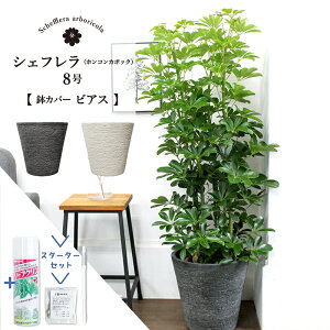 ySSN[|zyX^[^[ZbgtzyIׂrAXJo[tzyVFtzzRJ|bN@O[@8yϗtA/CeA//i`/A/蕨/yV/