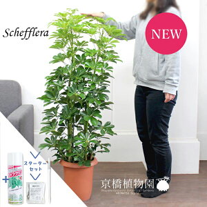 y1P7{IzyX^[^[ZbgtzyVFtzzRJ|bN@O[@8yϗtA/CeA//i`/A/蕨/yV/ʔ/~hTCY/TXeB[/SUSTE