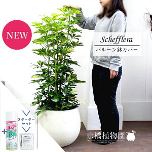 yX^[^[ZbgtzyVFtzzRJ|bN@@8yo[Jo[/AeB[NzCgzyϗtA/CeA//i`/A/蕨/yV/ʔ/~