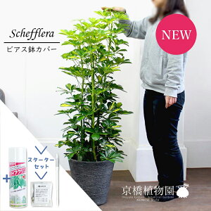 yX^[^[ZbgtzyVFtzzRJ|bN@@8yrAXJo[/ubNzyϗtA/CeA//i`/A/蕨/yV/ʔ/~hTCY/T