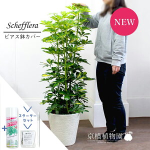 yX^[^[ZbgtzyVFtzzRJ|bN@@8yrAXJo[/zCgzyϗtA/CeA//i`/A/蕨/yV/ʔ/~hTCY/T