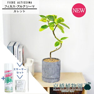 y30P5{IzyX^[^[ZbgtzyJg/ubNztBJXEAeV[}@Ȃy󂯎Mtz4GyϗtA/CeA//i`/A/蕨/yV/ʔ/X