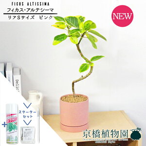 y1P7{IzyX^[^[ZbgtzyA/sNztBJXEAeV[}@Ȃy󂯎Mtz4GyϗtA/CeA//i`/A/蕨/yV/ʔ/X[T