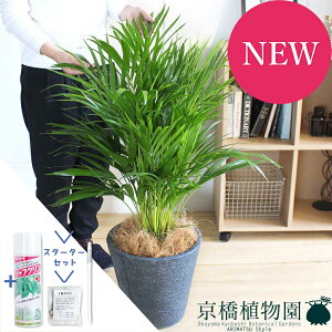 yX^[^[ZbgtzAJV@8yrAXJo[/ubNzyϗtA/CeA//i`/A/蕨/yV/ʔ/~hTCY/TXeB[/SUSTEE/[tN/IB