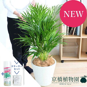 y}\N[|LIzyX^[^[ZbgtzAJV@8yrAXJo[/zCgzyϗtA/CeA//i`/A/蕨/yV/ʔ/~hTCY/TXe