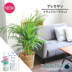 y1P7{IzyX^[^[Zbgtzyi`oXPbgJo[zAJV@8y󂯎MtzyϗtA/CeA//i`/A/蕨/yV/ʔ/~hTC