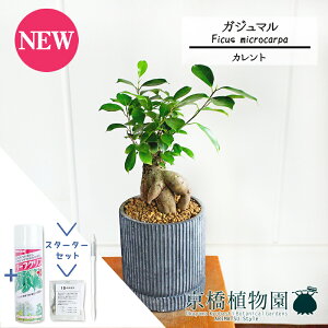 y30P5{IzyX^[^[ZbgtzyJg/ubNzKW}y󂯎Mtz5GyϗtA/CeA//i`/A/蕨/yV/ʔ/X[TCY/S̖/