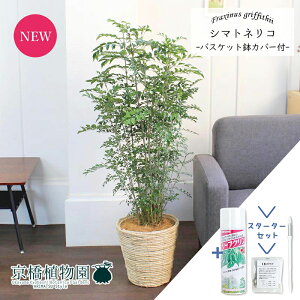 y30P5{Izy}\N[|LzyX^[^[ZbgtzV}glR@7yoXPbgJo[/AC{[zyϗtA/CeA//i`/A/蕨/yV/ʔ