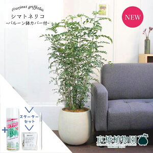 y30P5{IzyX^[^[ZbgtzV}glR@7yo[Jo[/AeB[NzCgzyϗtA/CeA//i`/A/蕨/yV/ʔ/~hTCY/