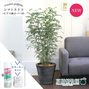 y30P5{IzyX^[^[ZbgtzV}glR@7yrAXJo[/ubNzyϗtA/CeA//i`/A/蕨/yV/ʔ/~hTCY/lCi/TXe