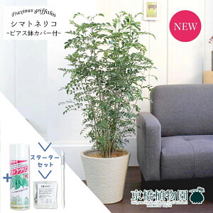 y30P5{IzyX^[^[ZbgtzV}glR@7yrAXJo[/zCgzyϗtA/CeA//i`/A/蕨/yV/ʔ/~hTCY/lCi/TXe