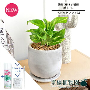 y1P7{IzyX^[^[Zbgtz|gXy}EhM/󂯎MtzpotyϗtA/CeA//i`/A/蕨/yV/ʔ/X[TCY/lCi/TXeB[/