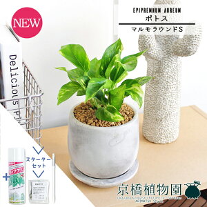 y1P7{IzyX^[^[Zbgtz|gXy}EhS/󂯎MtzpotyϗtA/CeA//i`/A/蕨/yV/ʔ/X[TCY/lCi/TXeB[/