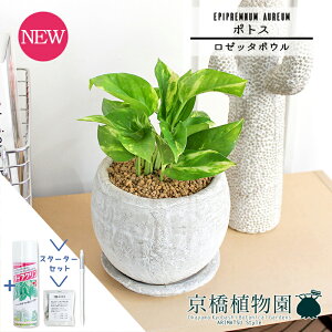 y1P7{IzyX^[^[Zbgtzy[b^{E/zCgz|gXy󂯎MtzpotyϗtA/CeA//i`/A/蕨/yV/ʔ/X[TCY/lCi