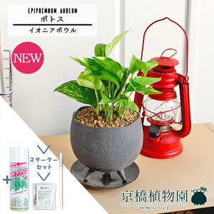 y1P7{IzyX^[^[ZbgtzyCIjA{E/O[z|gXy󂯎MtzpotyϗtA/CeA//i`/A/蕨/yV/ʔ/X[TCY/lCi/