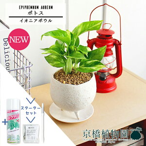 y1P7{IzyX^[^[ZbgtzyCIjA{E/zCgz|gXy󂯎MtzpotyϗtA/CeA//i`/A/蕨/yV/ʔ/X[TCY/lCi