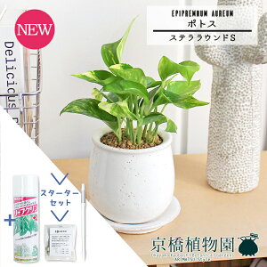 y1P7{IzyX^[^[Zbgtz|gXyXeEhS/󂯎MtzpotyϗtA/CeA//i`/A/蕨/yV/ʔ/X[TCY/lCi/TXeB[/