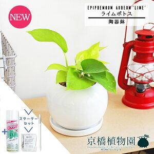 y1P7{IzyX^[^[Zbgtzye[g/픫zC|gXy󂯎MtzpotyϗtA/CeA//i`/A/蕨/yV/ʔ/X[TCY/lCi/T