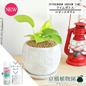 y30P5{IzyX^[^[Zbgtzy[b^{E/zCgzC|gXy󂯎MtzpotyϗtA/CeA//i`/A/蕨/yV/ʔ/X[TCY/