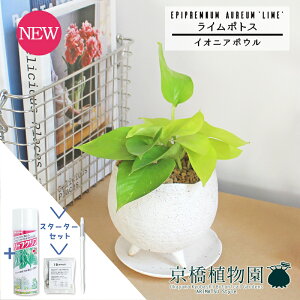 y30P5{IzyX^[^[ZbgtzyCIjA{E/zCgzC|gXy󂯎MtzpotyϗtA/CeA//i`/A/蕨/yV/ʔ/X[TCY/