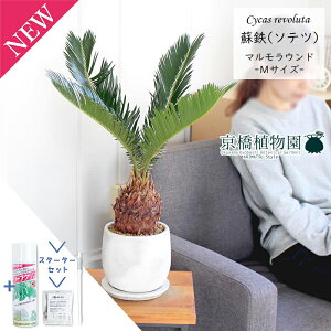 y30P5{Izy}\N[|LzyX^[^[Zbgtzy}EhM/󂯎MtzhSi\ecjyϗtA/CeA//i`/A/蕨/yV/ʔ/X