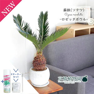 y1P7{IzyX^[^[ZbgtzhSi\ecjy[b^{EFzCgzy󂯎MtzyϗtA/CeA//i`/A/蕨/yV/ʔ/X[TCY/