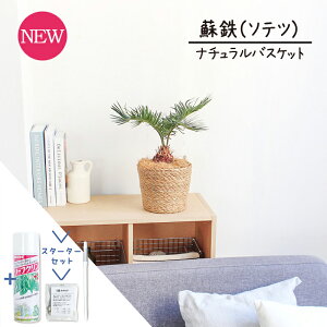 ySSN[|zyX^[^[Zbgtzyi`oXPbgJo[zhSi\ecj 5yϗtA/CeA//i`/A/蕨/yV/ʔ/X[TCY/lC