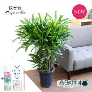 y30P5{IzyX^[^[ZbgtzJm`N/ω|@8yϗtA/CeA//i`/A/蕨/yV/ʔ/~hTCY/TXeB[/SUSTEE/[tN/IB̃`