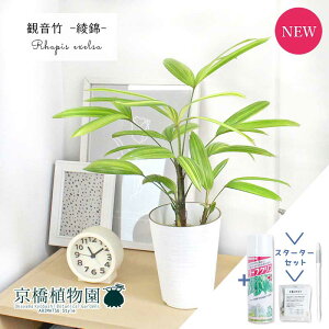 yubNtCf[N[|LIzyX^[^[Zbgtzω|iJm`Nj --@4yϗtA/CeA//i`/A/蕨/yV/ʔ/X[TCY/lC