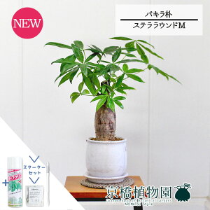 y1P7{zyX^[^[ZbgtzyXeEhFMTCY/픫zpL@p@5GyTXeB[/SUSTEE/[tN/IB̃`J/ϗtA/CeA//i`/A/