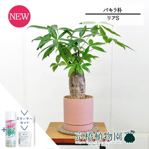 ySSN[|zySSizyX^[^[ZbgtzyASTCY/sNzpL@p@5GyTXeB[/SUSTEE/[tN/IB̃`J/ϗtA/CeA//i`/A/