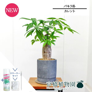 yX^[^[ZbgtzyJgS/ubNzpL@p@5GyTXeB[/SUSTEE/[tN/IB̃`J/ϗtA/CeA//i`/A/蕨/X[TCY/lC