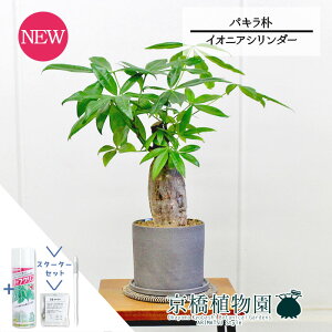 yX^[^[ZbgtzyCIjAV_[zpL@p@5GyTXeB[/SUSTEE/[tN/IB̃`J/ϗtA/CeA//i`/A/蕨/X[TCY/lC