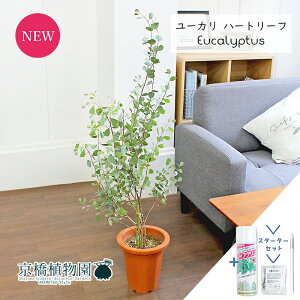 yX^[^[Zbgtz[JEn[g[t/EFuXeAi@7@yϗtA/CeA//i`/A/蕨/yV/ʔ/~hTCY/uE/ɋ/lC