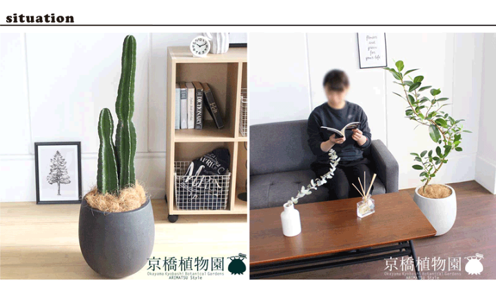 テラニアスバルーン アンティークブラック 鉢カバー 観葉植物 10号 30cm 楽天市場】【テラニアスバルーン】10号 30cm 可愛い 植木鉢