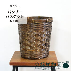 y5P5{IzySSN[|zyJo[zou[oXPbgi6ΉjyuEzyJo[/|/AWA/F/ϗtAz