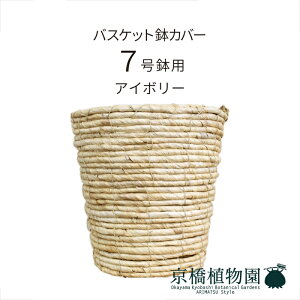 y1P7{IzoXPbgJo[7p / oii[tyAC{[zyJo[/~hTCY/u/j/JXj/JƏj/Vzj/ϗtA/zCg//N[Fz