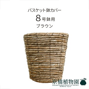 y5P5{IzySSN[|zoXPbgJo[8p / oii[tyuEzyJo[/~hTCY/u/j/JXj/JƏj/Vzj/ϗtA/Fz