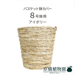 ySSN[|zoXPbgJo[8p / oii[tyAC{[zyJo[/~hTCY/u/j/JXj/JƏj/Vzj/ϗtA/zCg//N[Fz