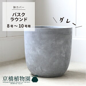 yubNtCf[N[|LIzyJo[zoXNEhFO[i8`10ΉjyDF/t@Co[NC/CeA//Vvz