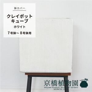 y5P5{IzySSN[|zyJo[zNC|bgL[uFzCgi7`8Ήjyzyt@Co[NCzyO[|bgz