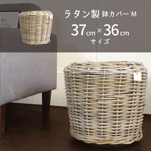 ySSN[|z^Jo[M@37cm×36cmyi`zyMTCYzyCeA  lC yV ʔ Mtg v[gz